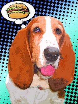 Limited Edition Bassett Hound Print