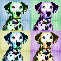 Limited Dalmatian Hound Print