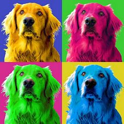 Limited Edition Golden Retriever Print