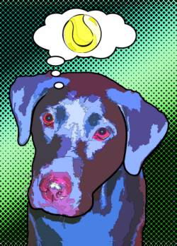 Limited Edition Labrador Retiever Print