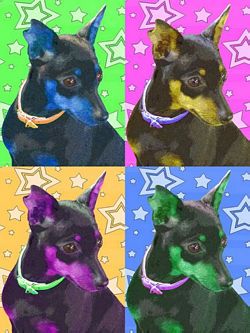 Limited Edition Miniature Pinscher Print