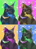 Miniature Pinscher