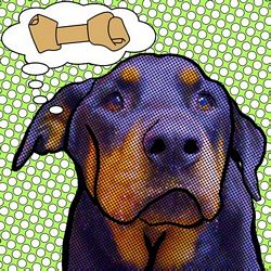 Limited Edition Rottweiler Print